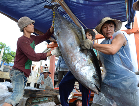 HungHau Agricultural News