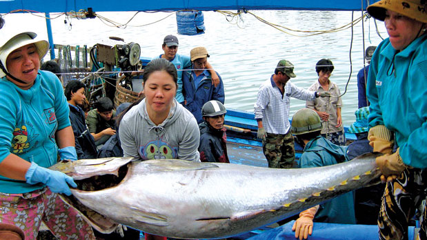 HungHau Agricultural News