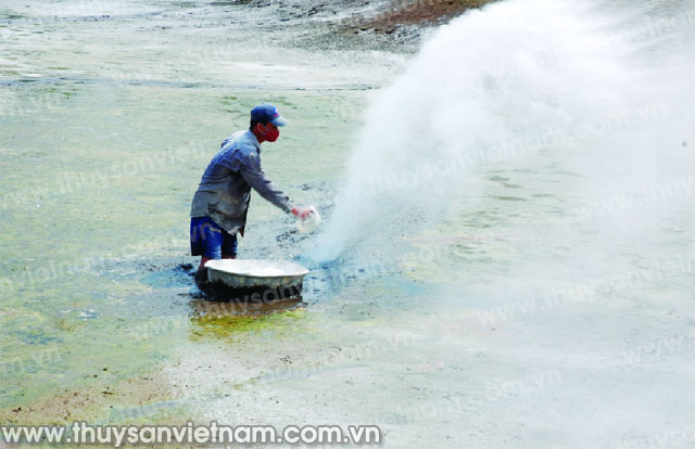 HungHau Agricultural News