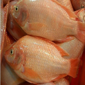 HungHau Agricultural News