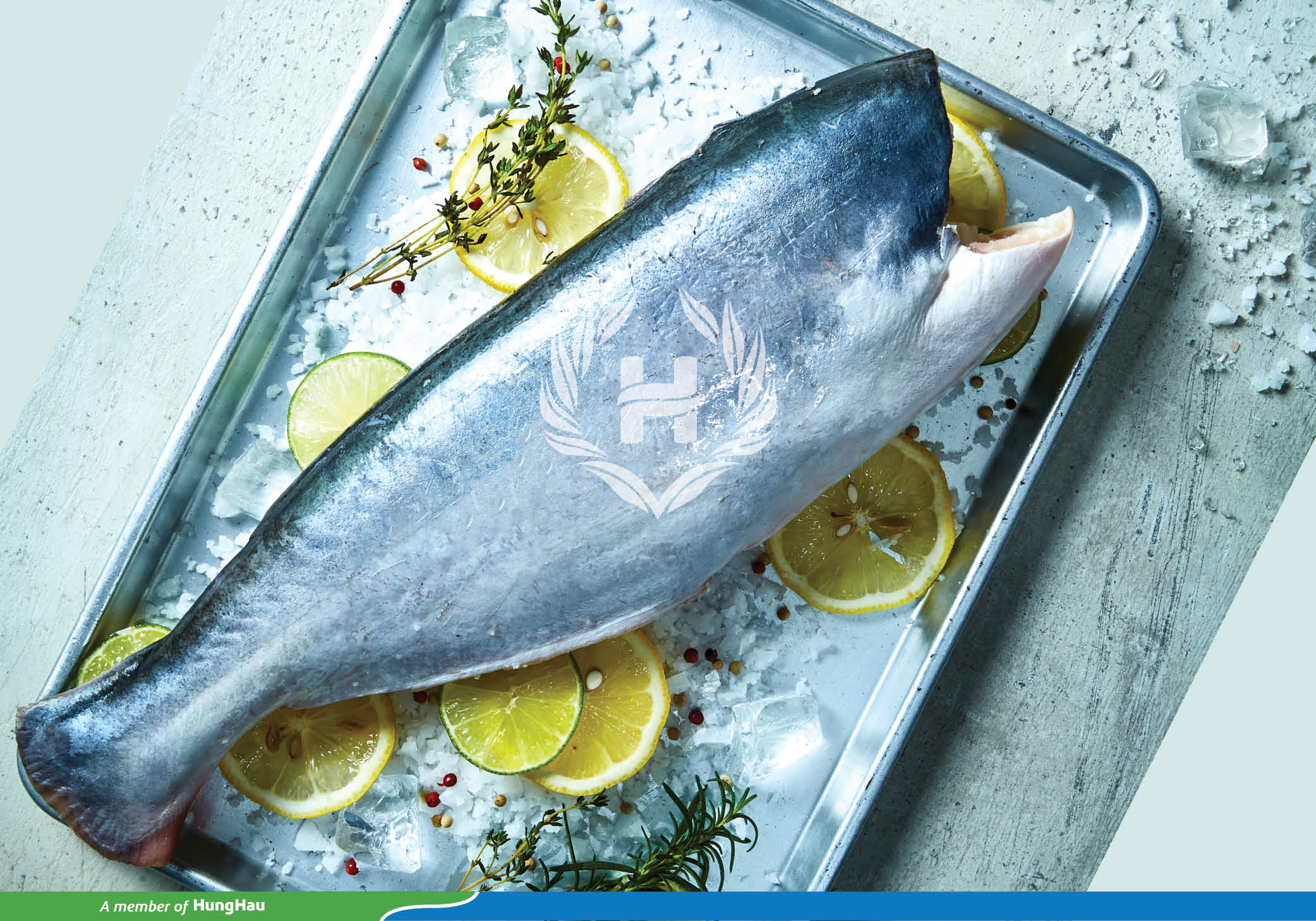 Pangasius HGT export Hung Hau