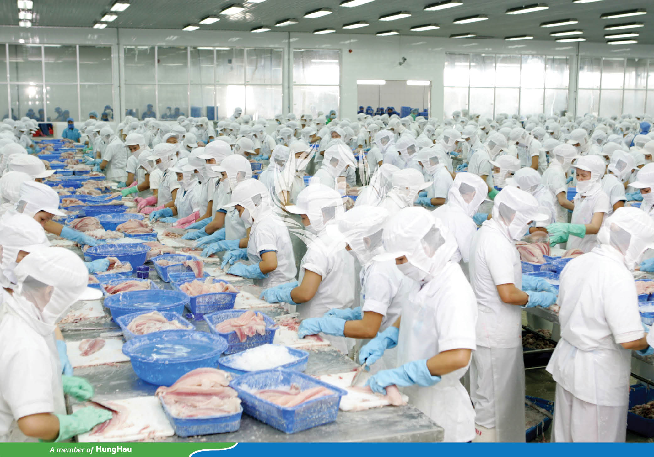HungHau Agricultural Corp