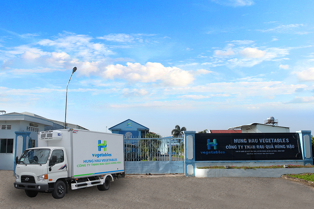 HungHau Vegetables