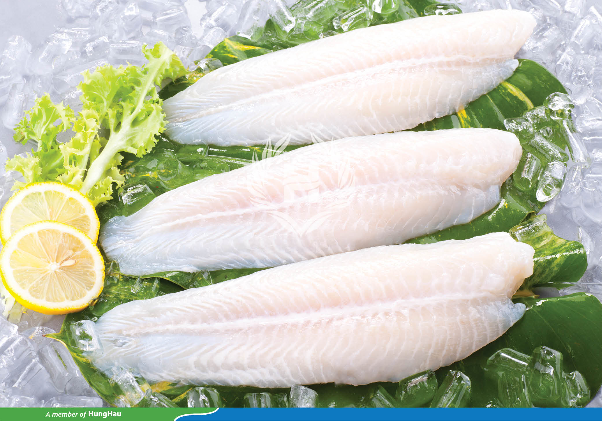 Hung Hau Pangasius Fillet