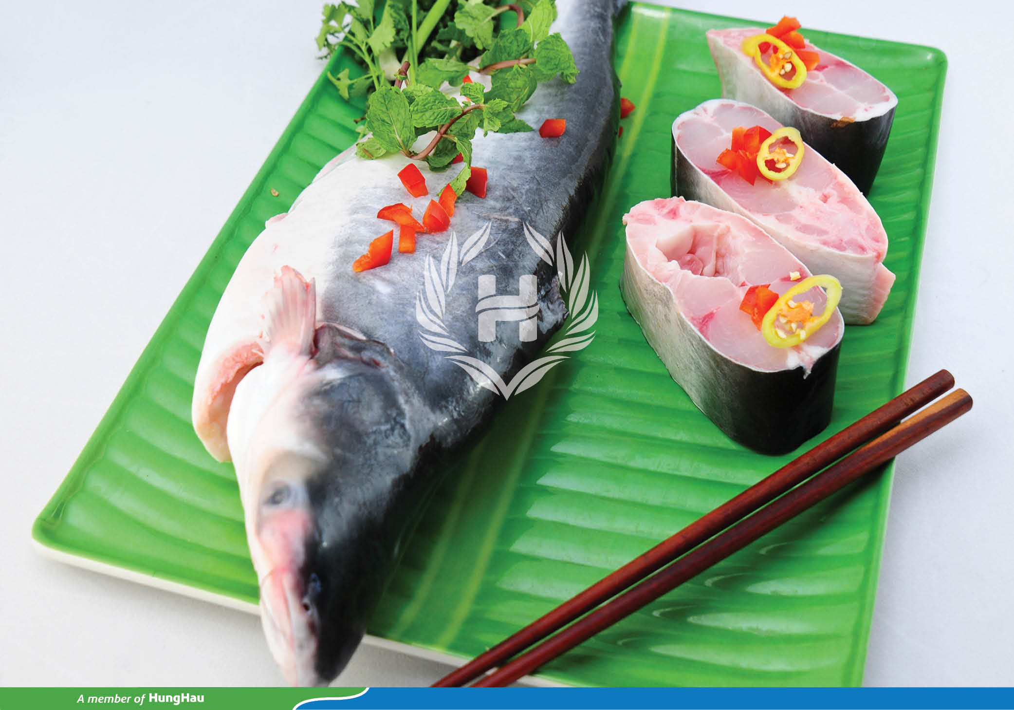 Pangasius Hypophthalmus