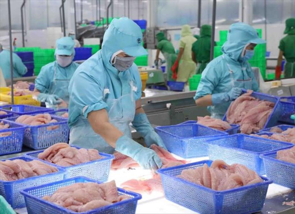 Mexico – The highlight of Vietnam pangasius exports in 2022 - HungHau ...
