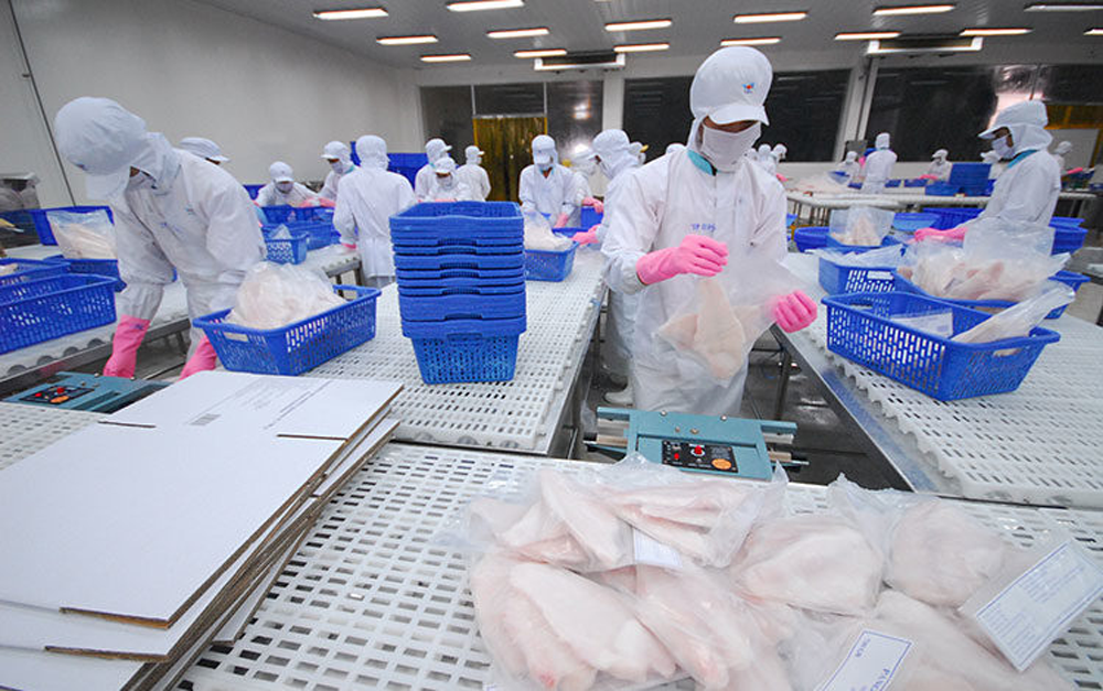 Pangasius exports expected to grow at the end of the year - HungHau ...