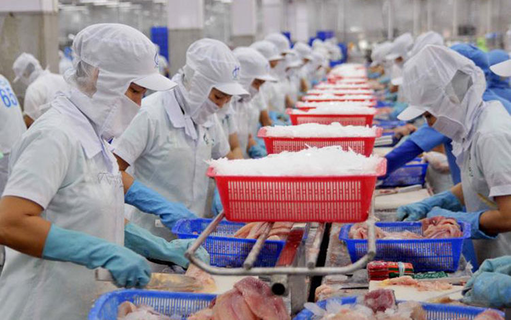 Pangasius exports to Germany showed double-digit growth - HungHau ...