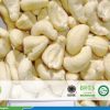 CASHEW NUT WW450