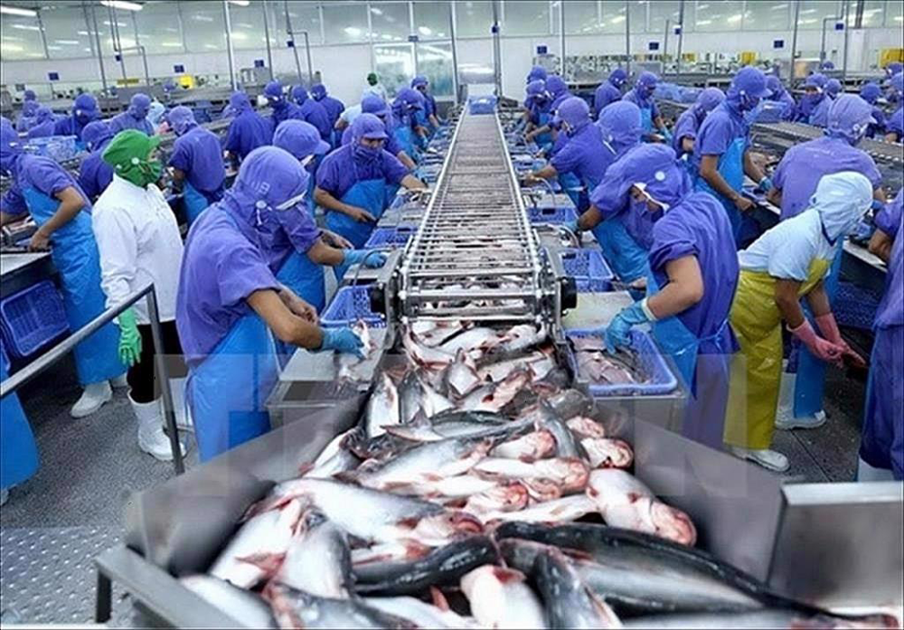 Pangasius exports to CPTPP: Mexico and Canada regain their growth ...